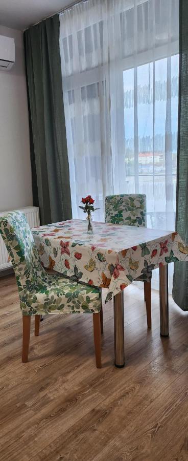 Butterfly Apartment Timisoara Exterior photo