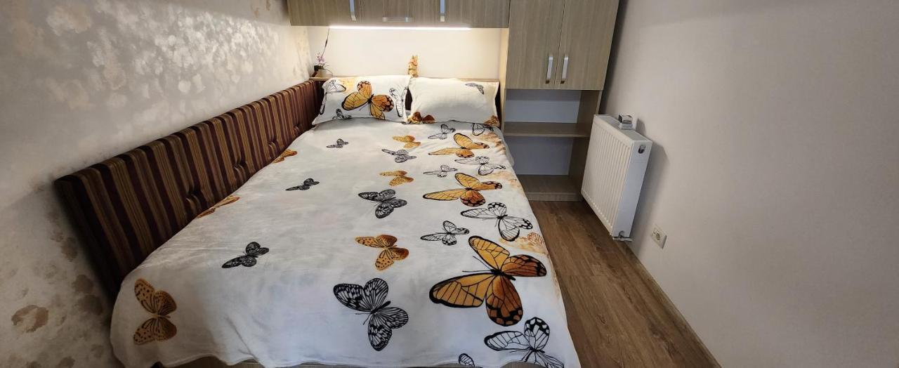Butterfly Apartment Timisoara Exterior photo